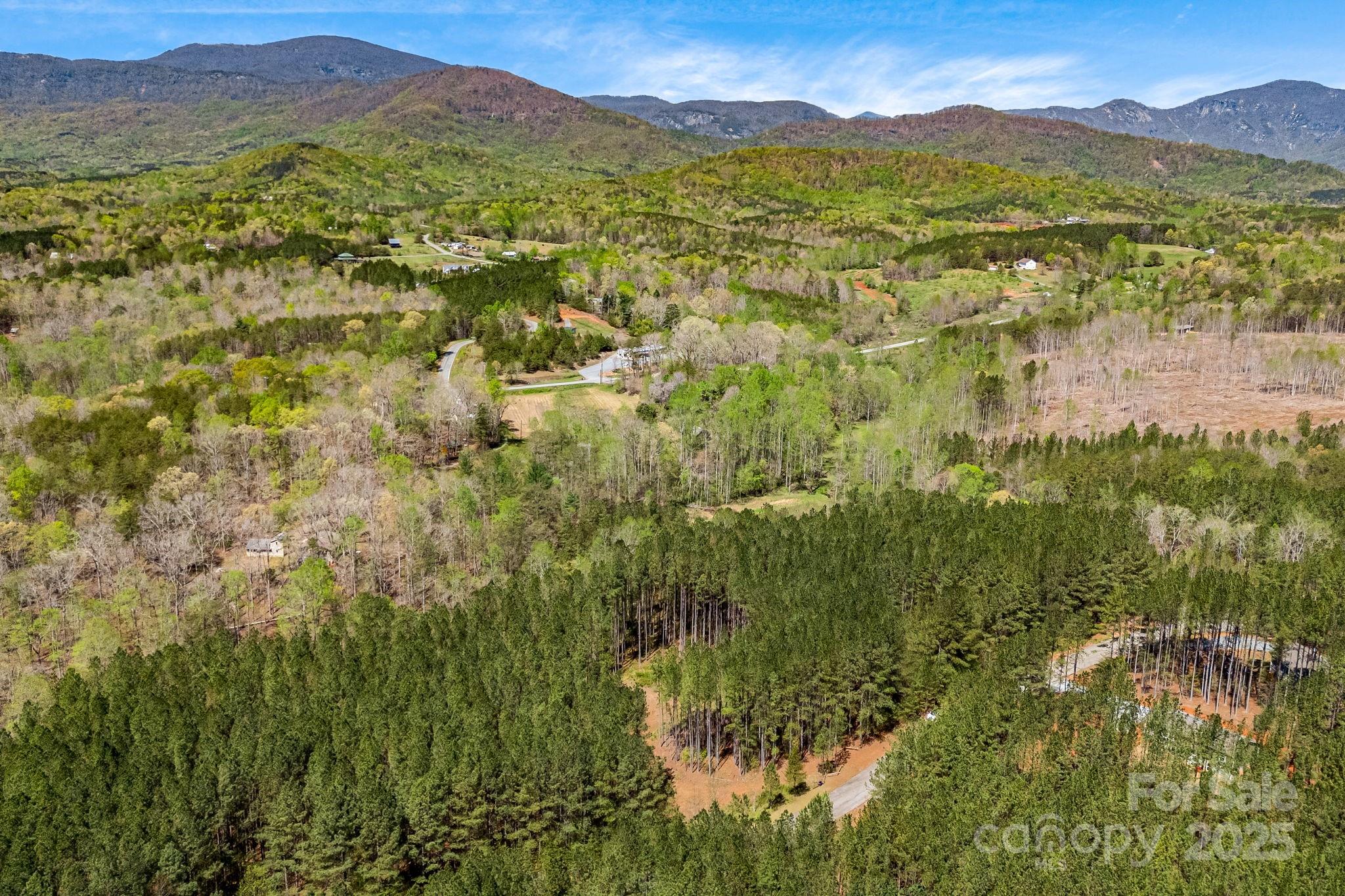 19 Sunset Drive Mill Spring NC 28756