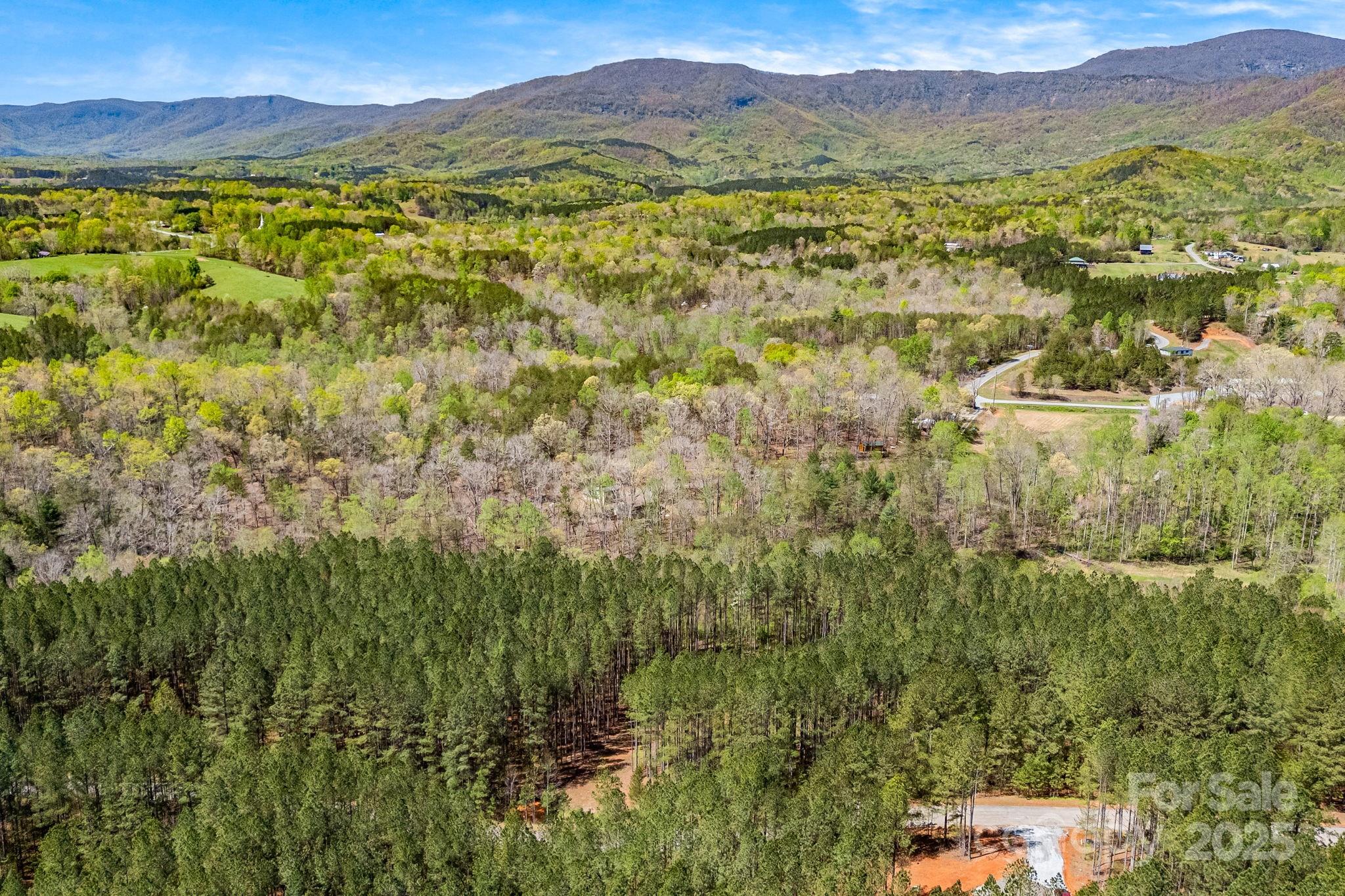 19 Sunset Drive Mill Spring NC 28756