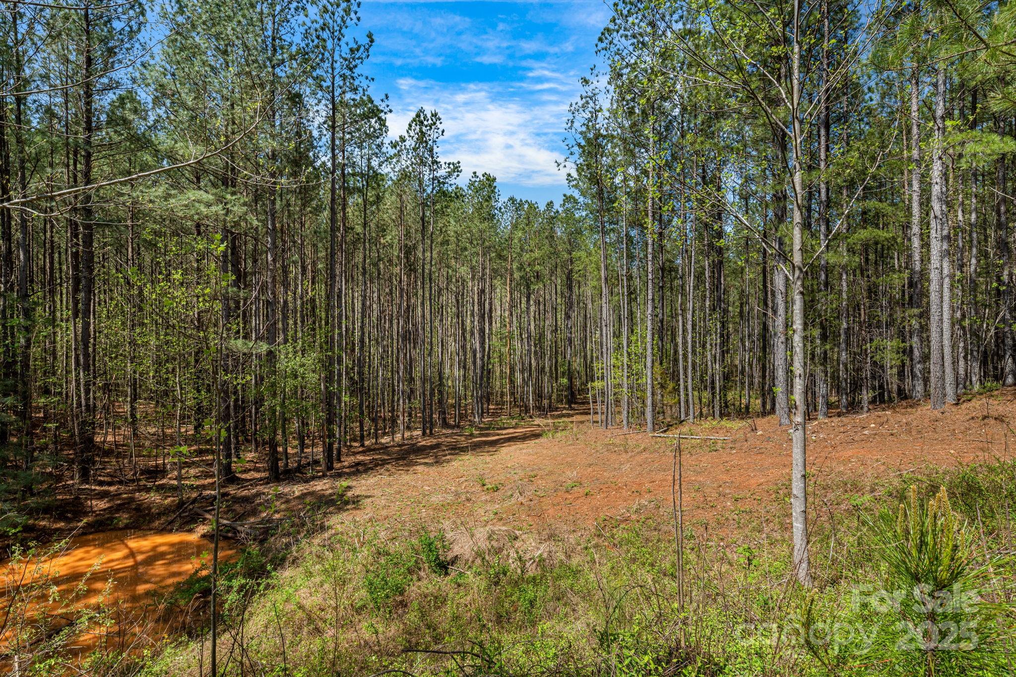 19 Sunset Drive Mill Spring NC 28756