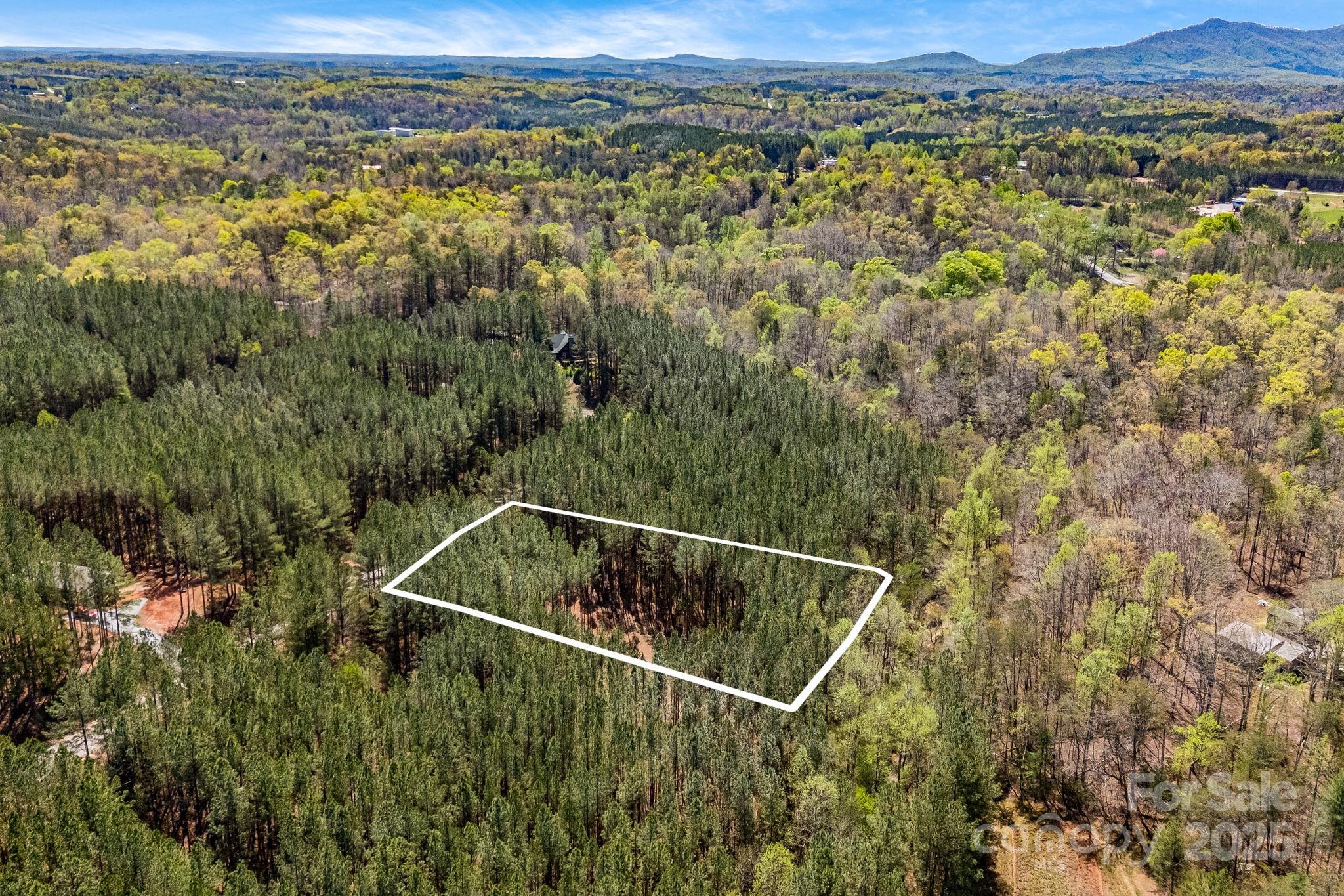 19 Sunset Drive Mill Spring NC 28756