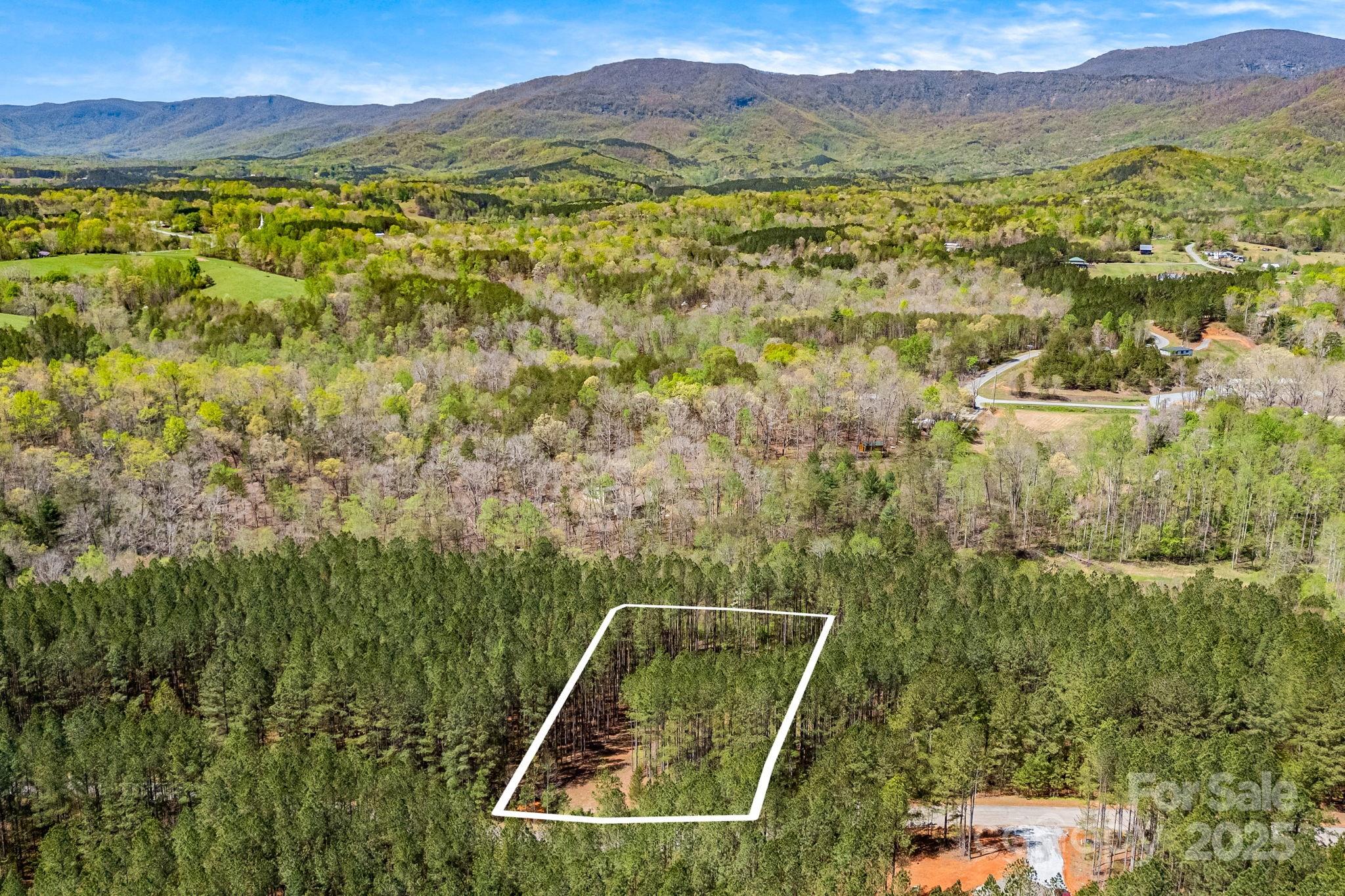 19 Sunset Drive Mill Spring NC 28756
