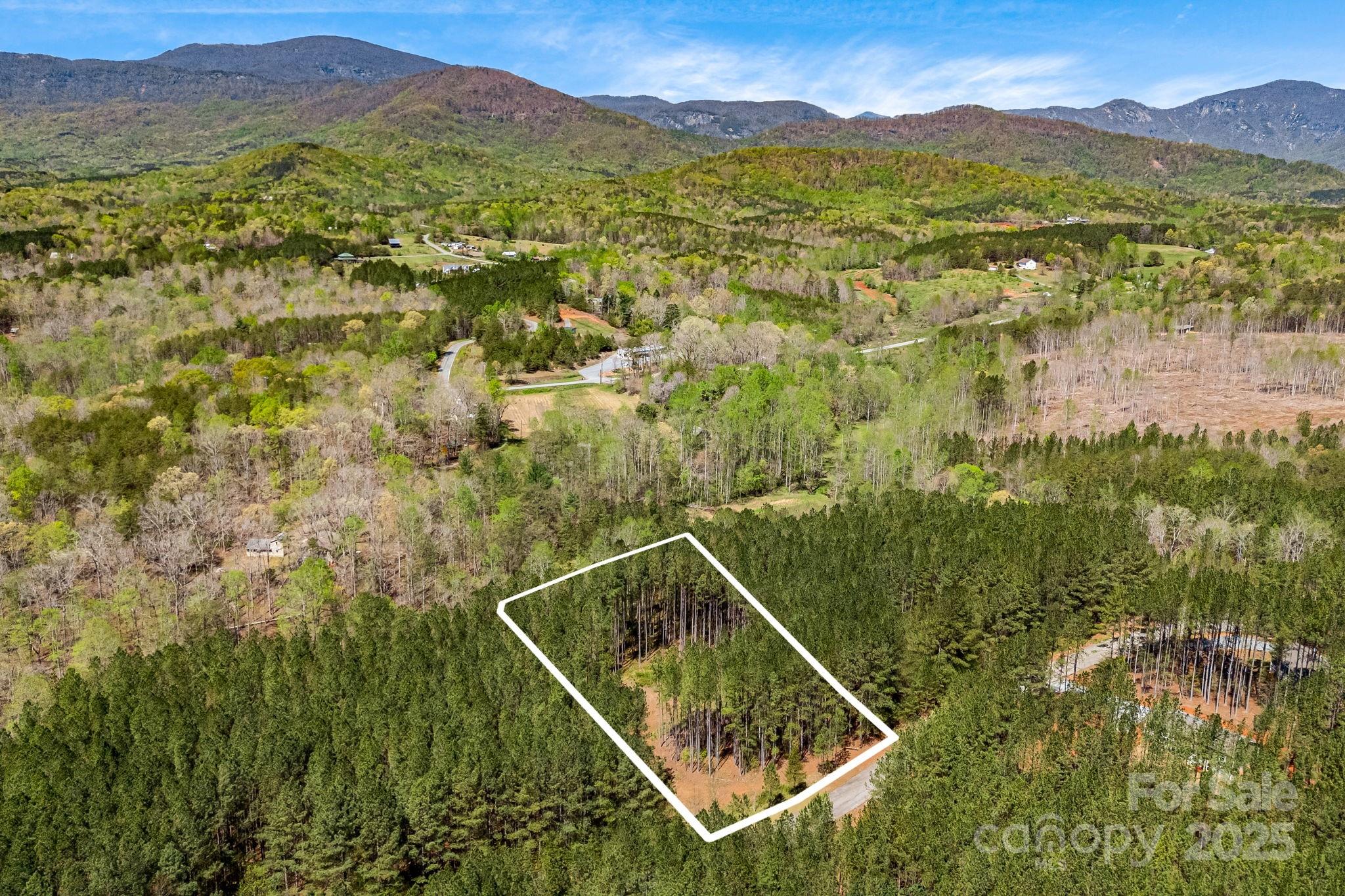 19 Sunset Drive Mill Spring NC 28756