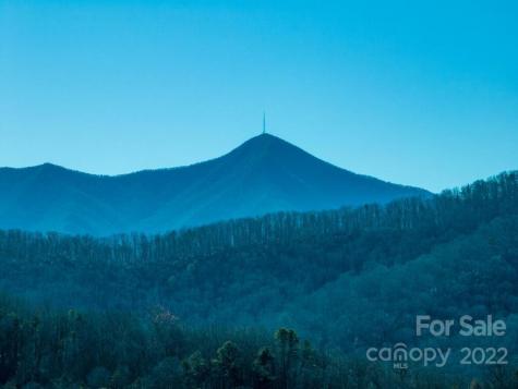 6 Tylers Run Candler NC 28715