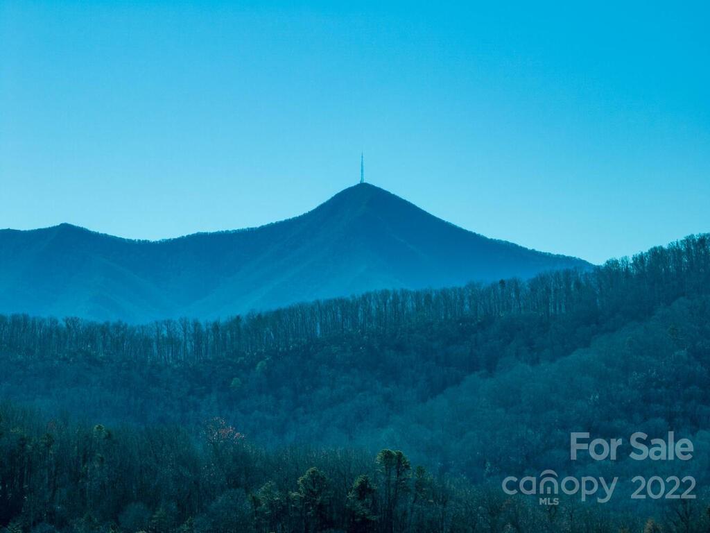 6 Tylers Run Candler NC 28715