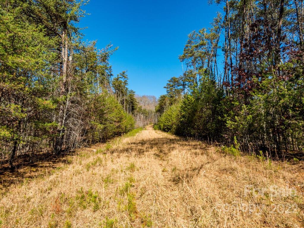 6 Tylers Run Candler NC 28715