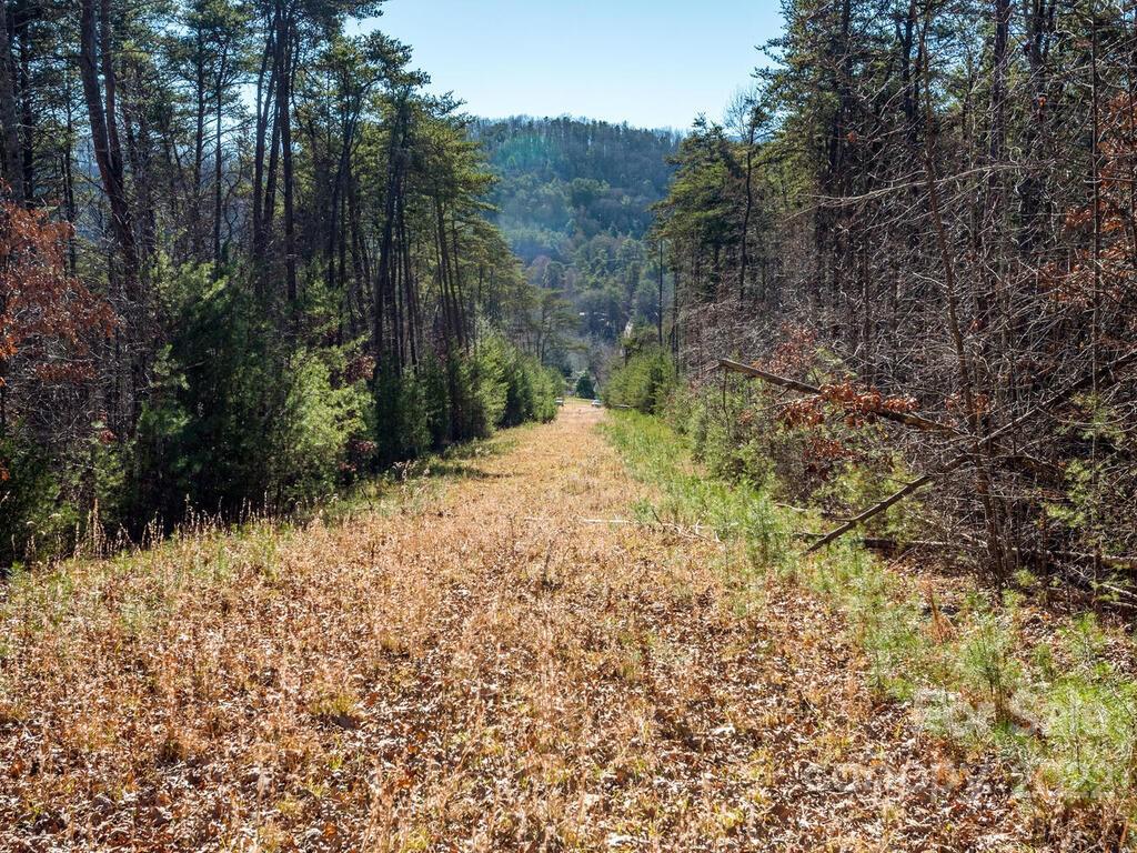 6 Tylers Run Candler NC 28715