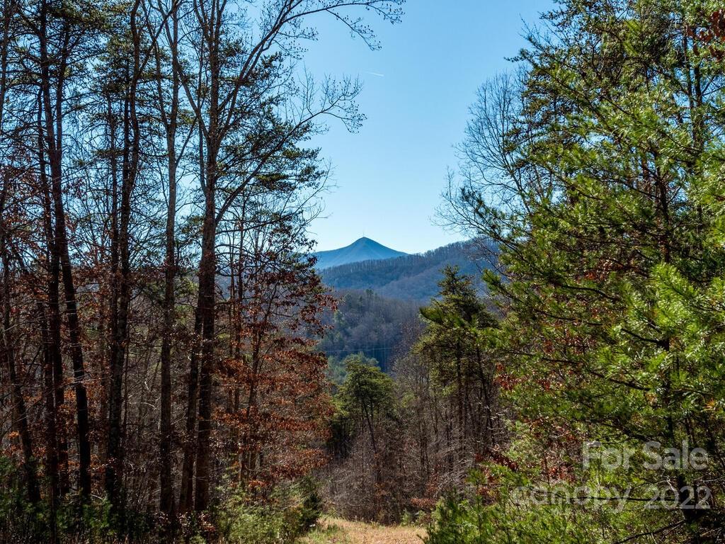 6 Tylers Run Candler NC 28715