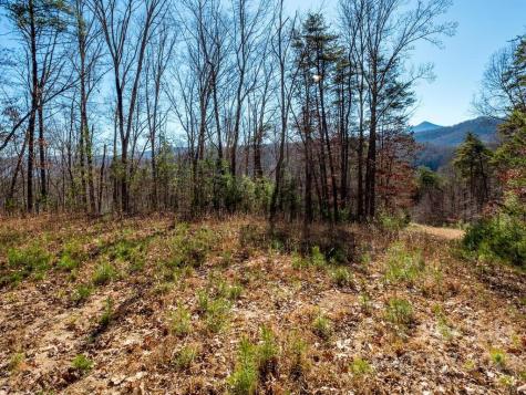 6 Tylers Run Candler NC 28715