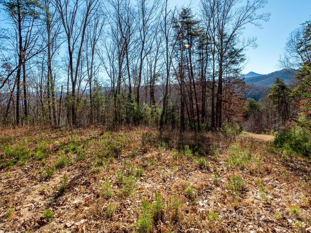 6 Tylers Run Candler NC 28715