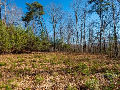 6 Tylers Run Candler NC 28715