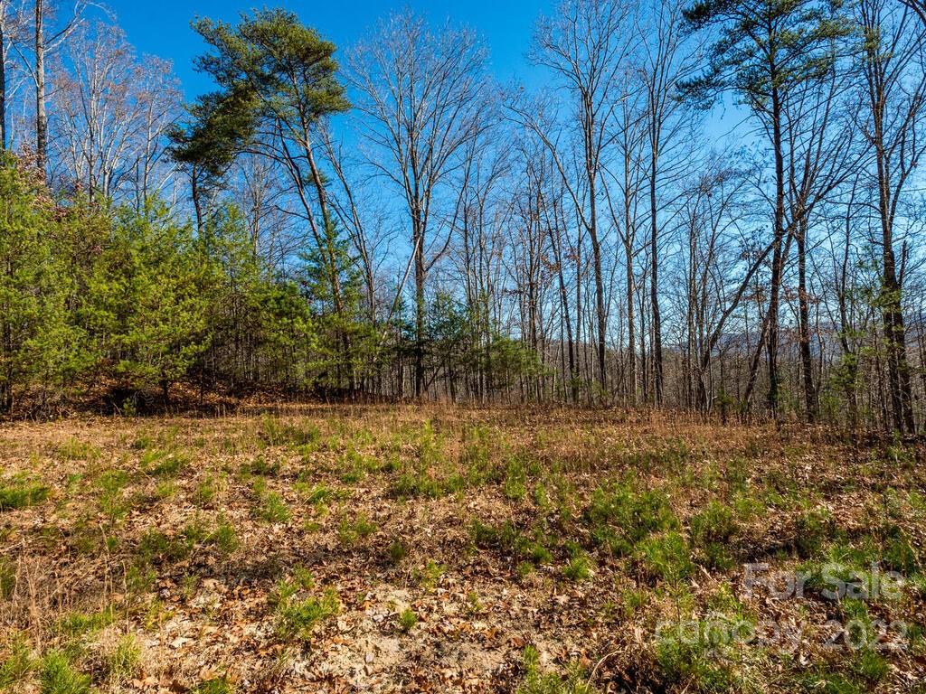 6 Tylers Run Candler NC 28715