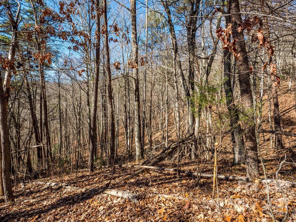 6 Tylers Run Candler NC 28715