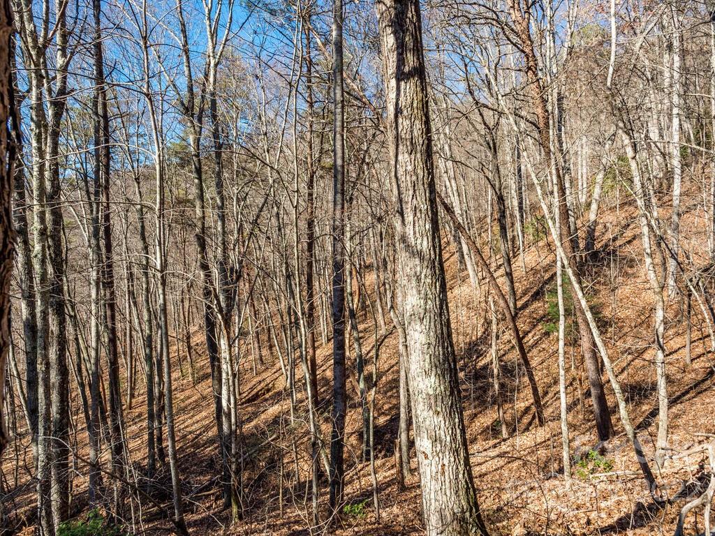 6 Tylers Run Candler NC 28715