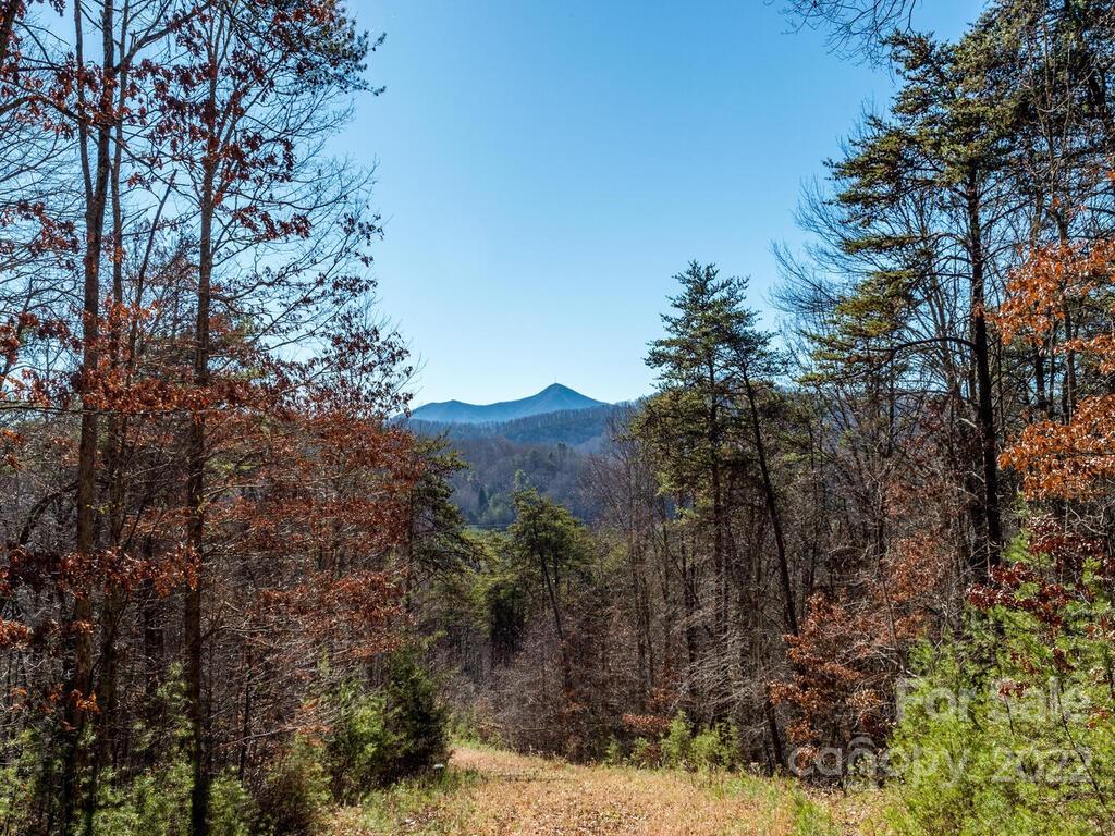 6 Tylers Run Candler NC 28715