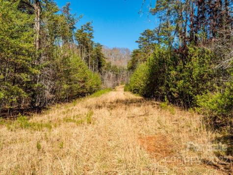 6 Tylers Run Candler NC 28715