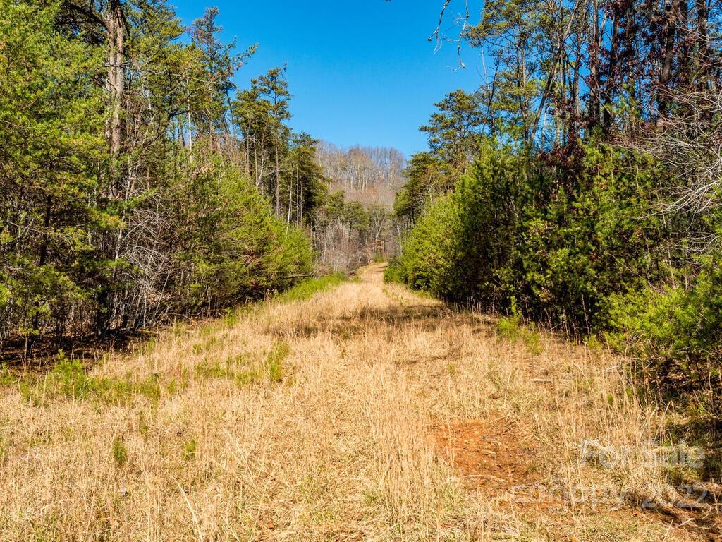 6 Tylers Run Candler NC 28715
