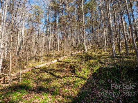 6 Tylers Run Candler NC 28715