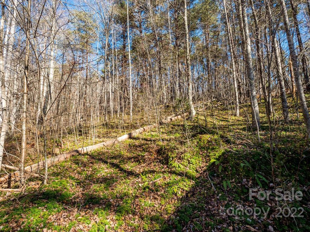 6 Tylers Run Candler NC 28715