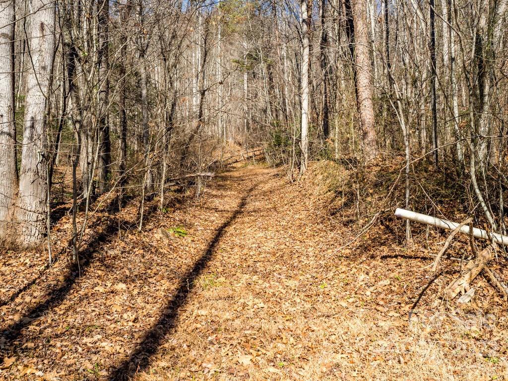 6 Tylers Run Candler NC 28715