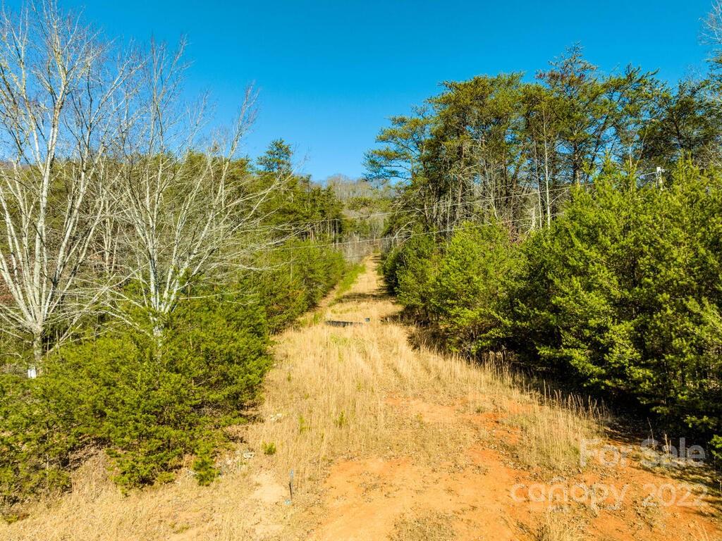 6 Tylers Run Candler NC 28715