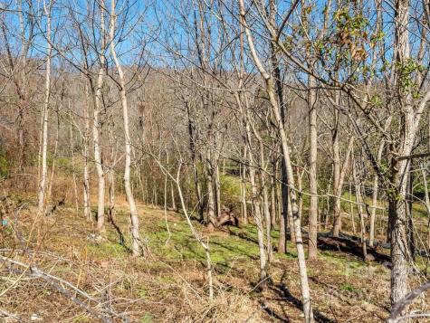 6 Tylers Run Candler NC 28715