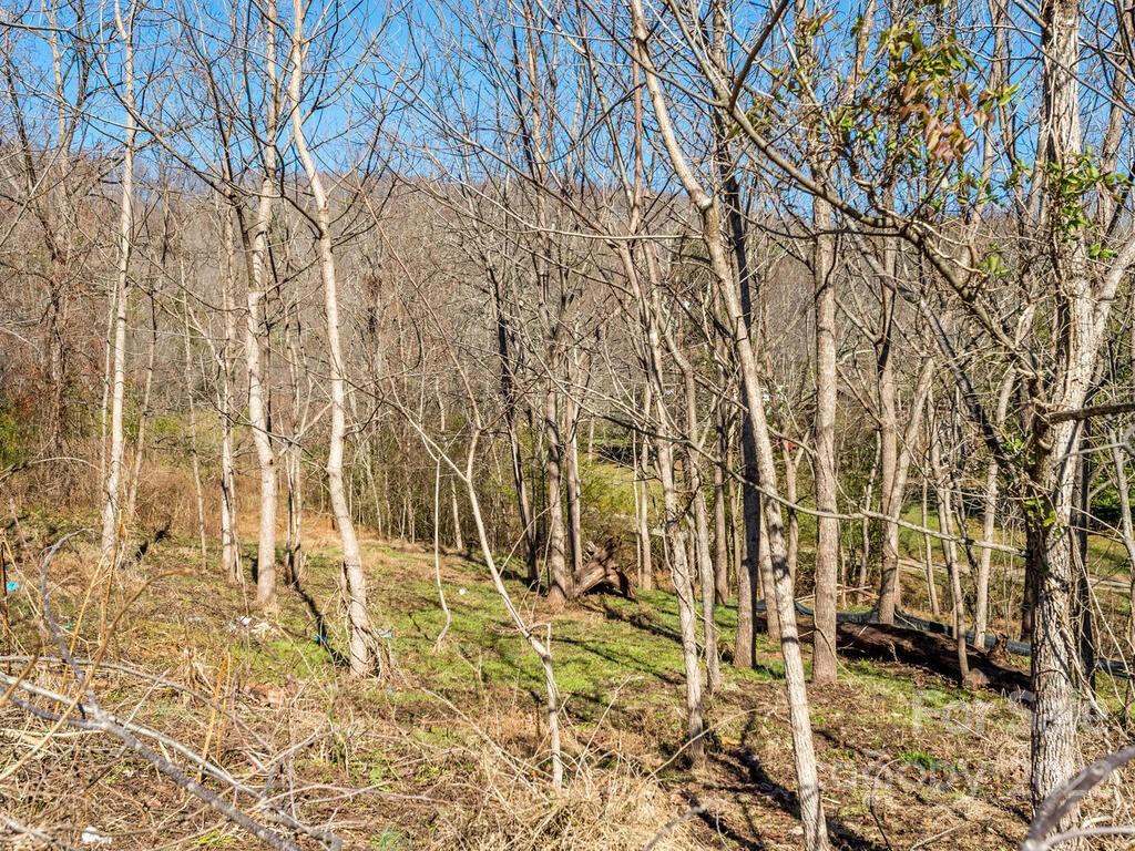 6 Tylers Run Candler NC 28715