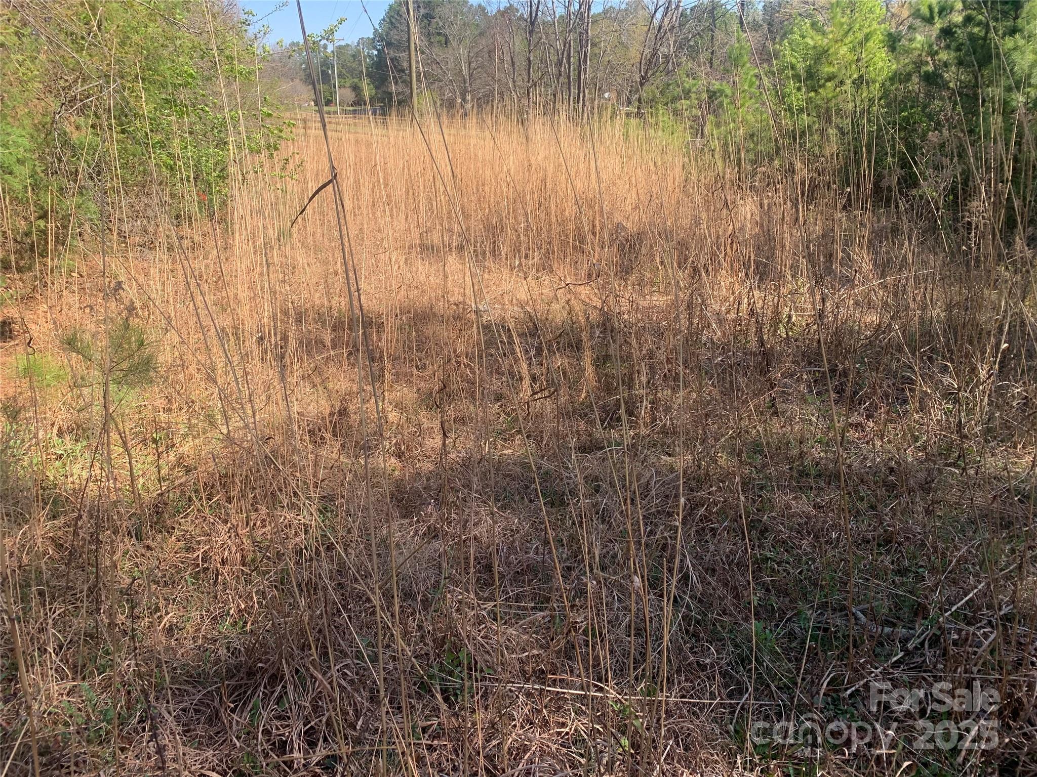 0001 Mayberry Road Dallas NC 28034