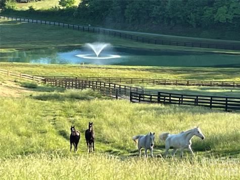 Tbd Poplar Bluff Drive Lenoir NC 28645