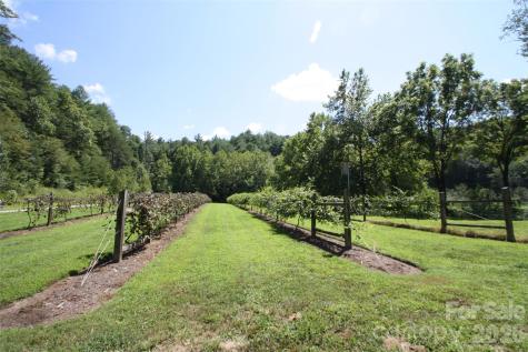 Tbd Poplar Bluff Drive Lenoir NC 28645