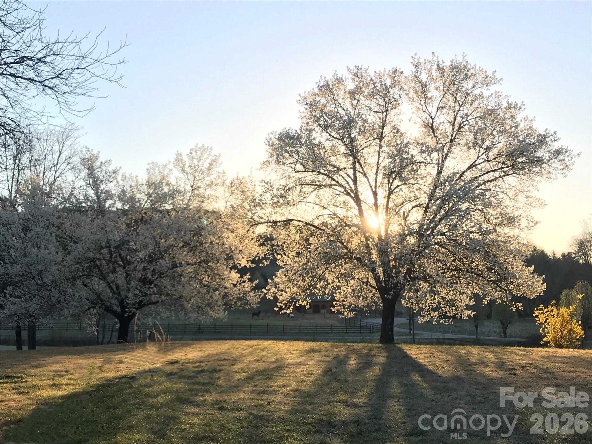 Tbd Poplar Bluff Drive Lenoir NC 28645
