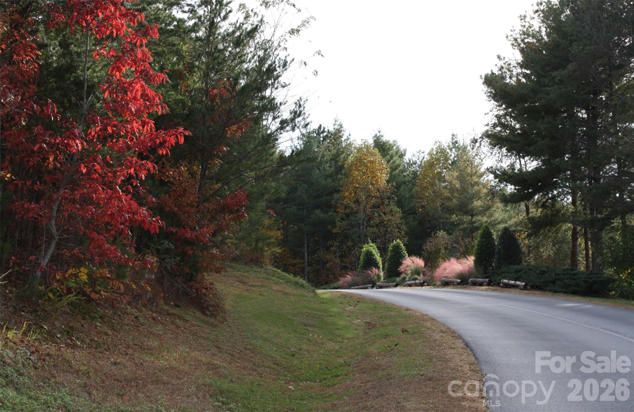 Tbd Poplar Bluff Drive Lenoir NC 28645