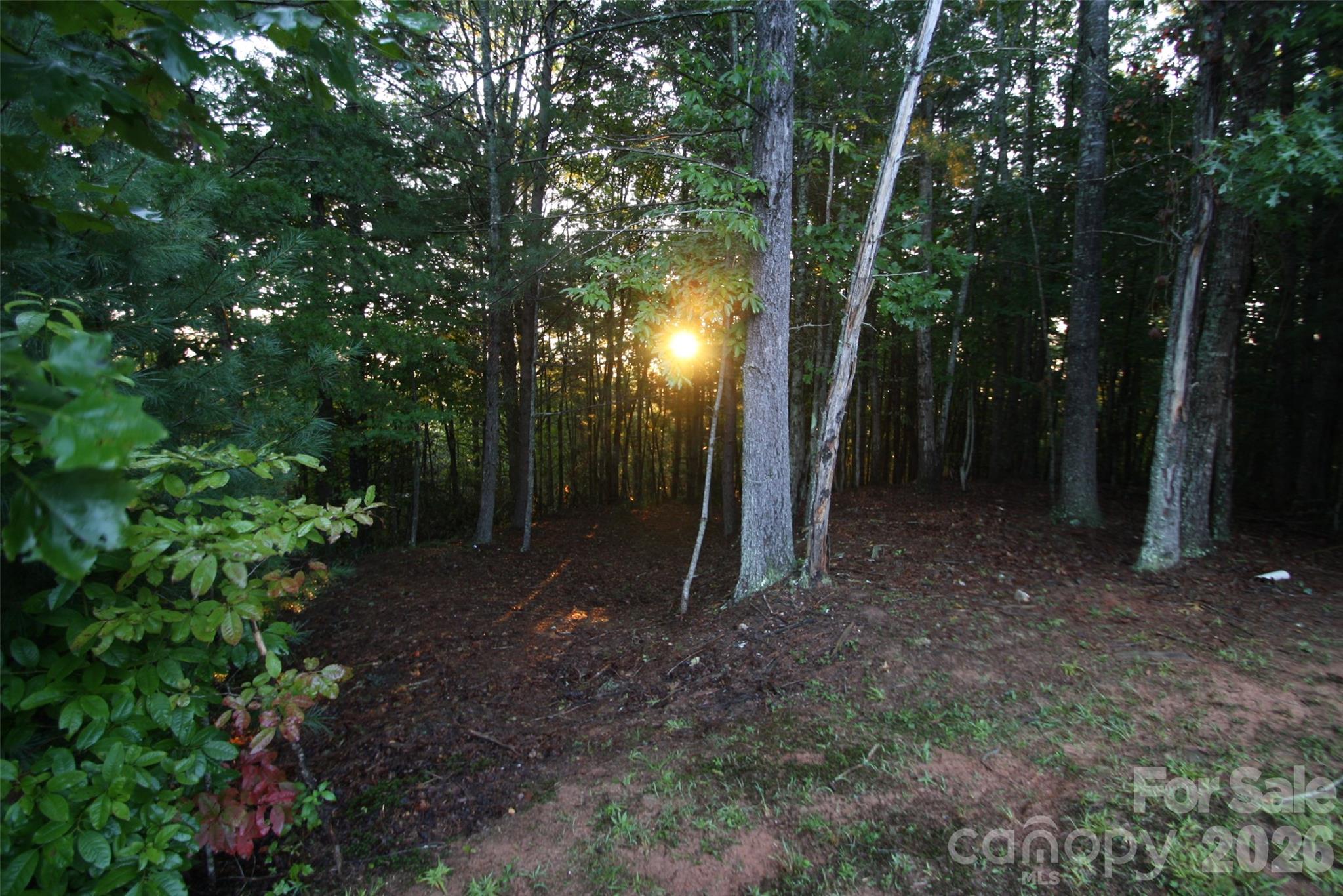 Tbd Poplar Bluff Drive Lenoir NC 28645