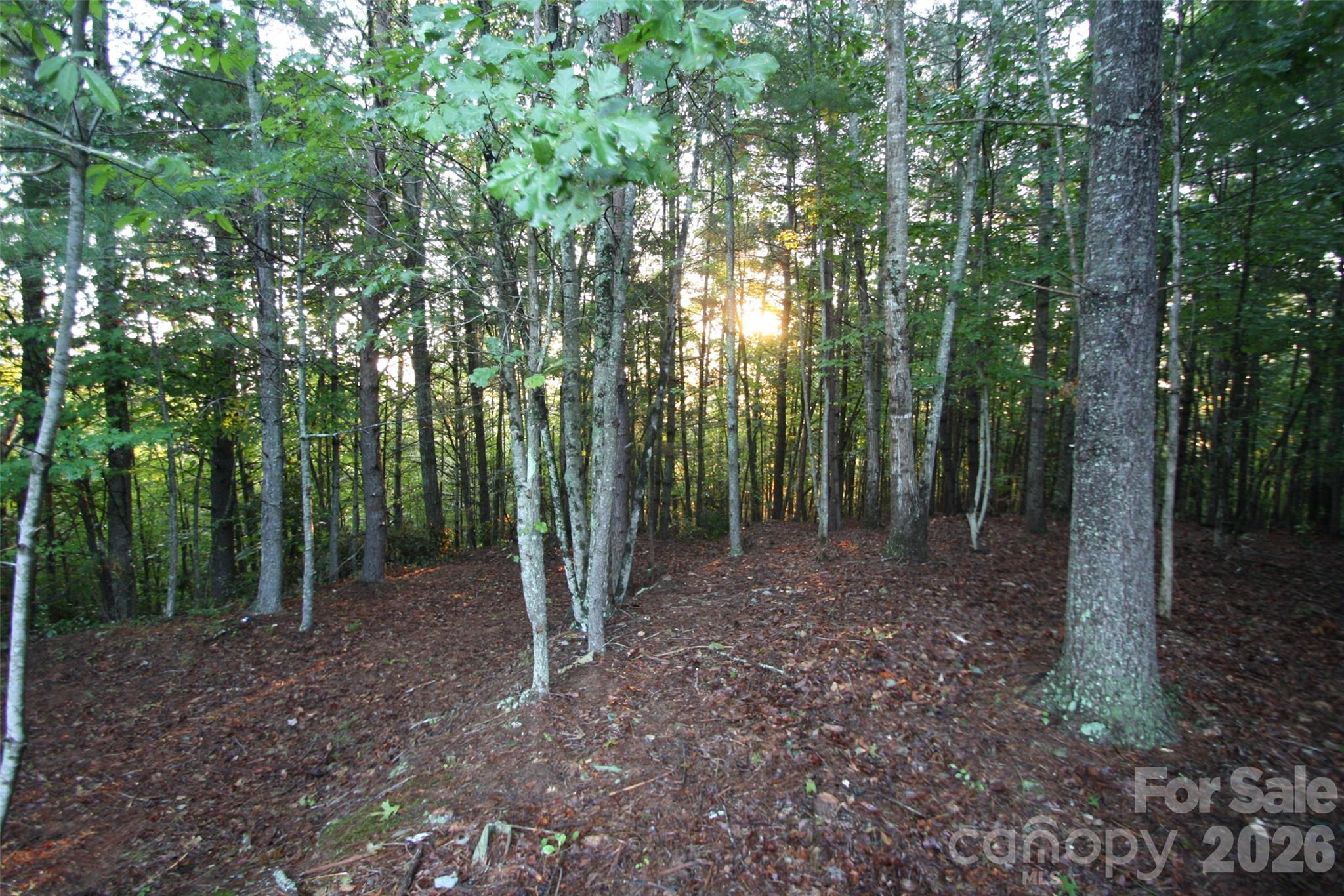 Tbd Poplar Bluff Drive Lenoir NC 28645