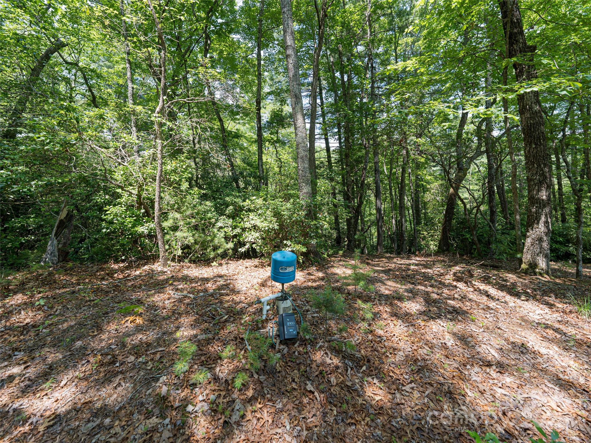 1000 Sutton Creek Road Pisgah Forest NC 28768