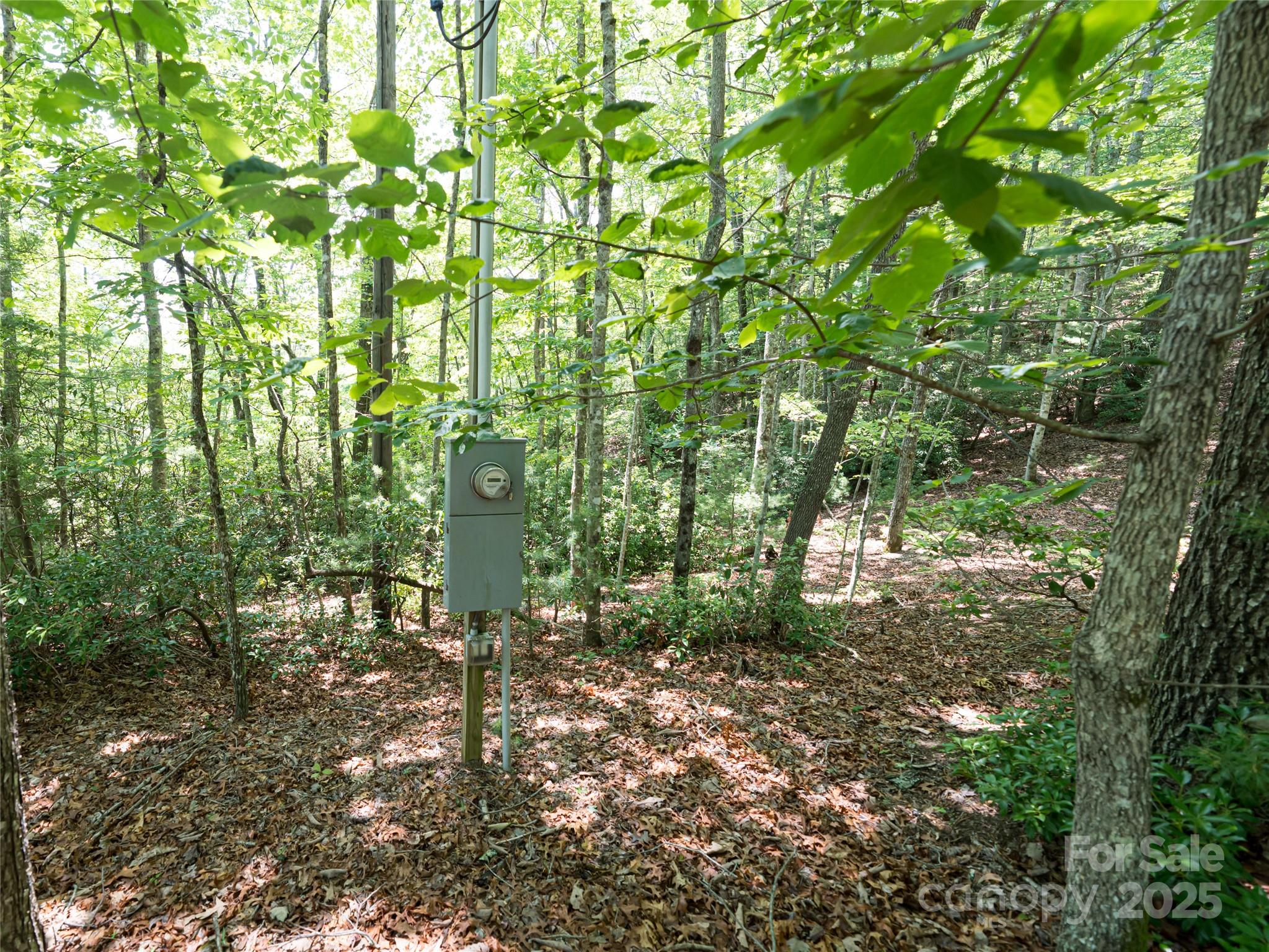 1000 Sutton Creek Road Pisgah Forest NC 28768