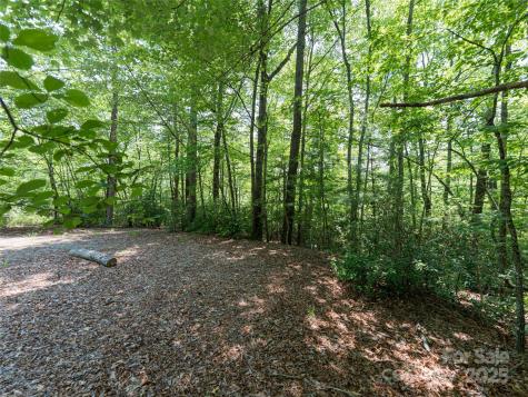 1000 Sutton Creek Road Pisgah Forest NC 28768