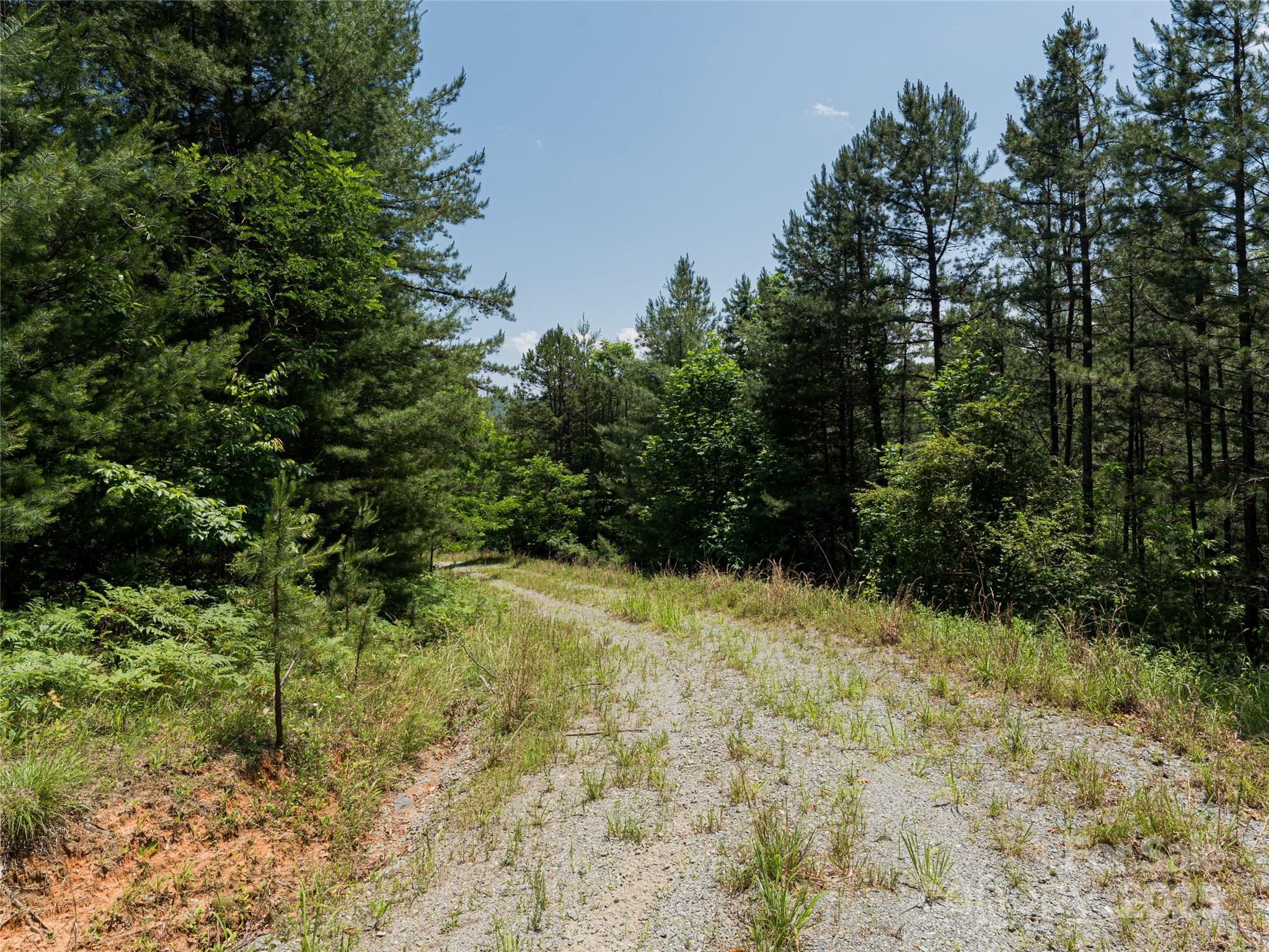 1000 Sutton Creek Road Pisgah Forest NC 28768