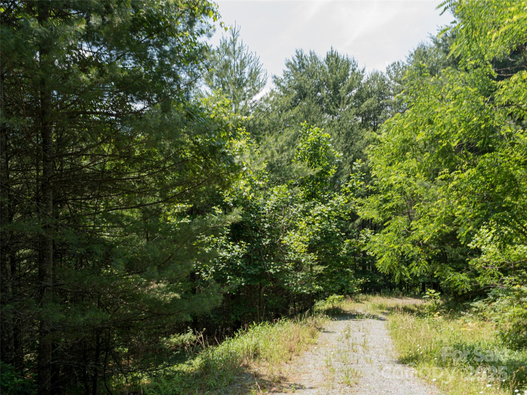 1000 Sutton Creek Road Pisgah Forest NC 28768