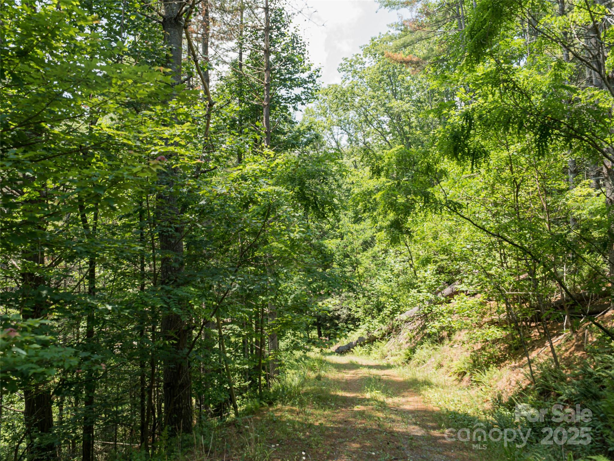 1000 Sutton Creek Road Pisgah Forest NC 28768