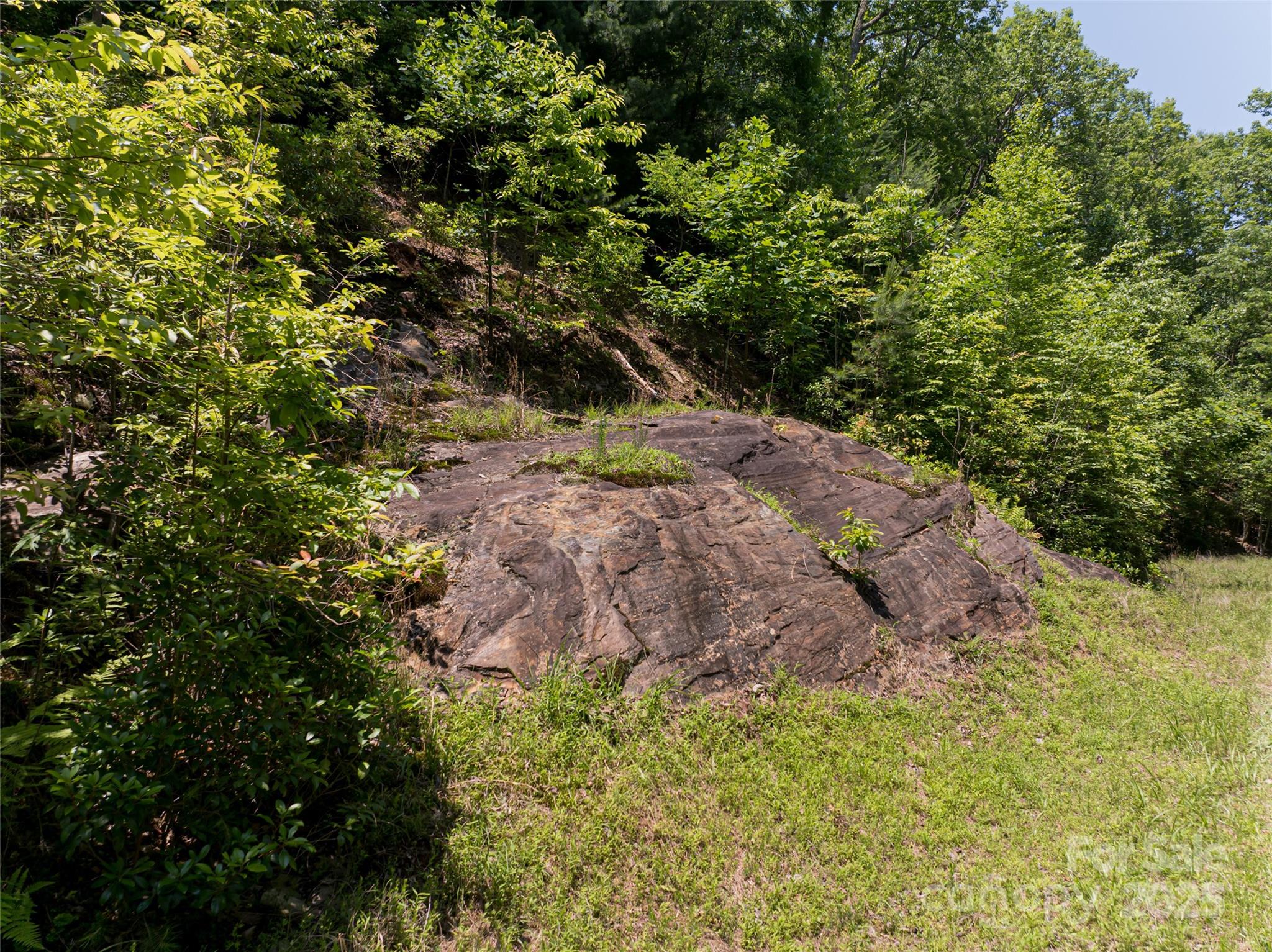 1000 Sutton Creek Road Pisgah Forest NC 28768