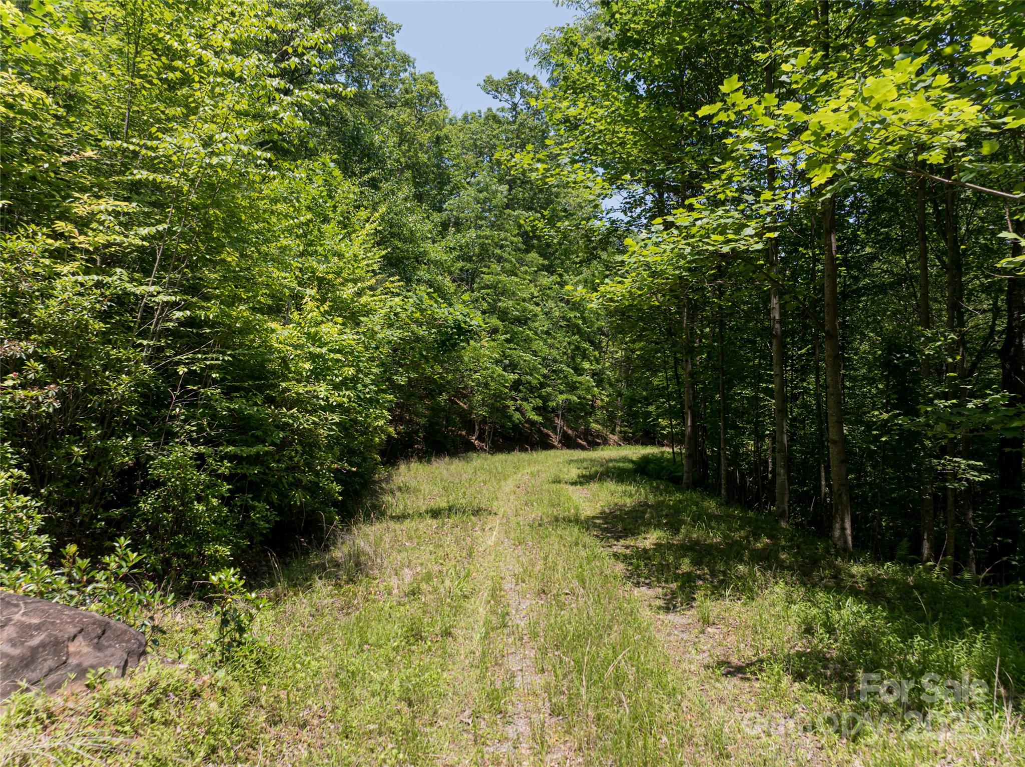 1000 Sutton Creek Road Pisgah Forest NC 28768