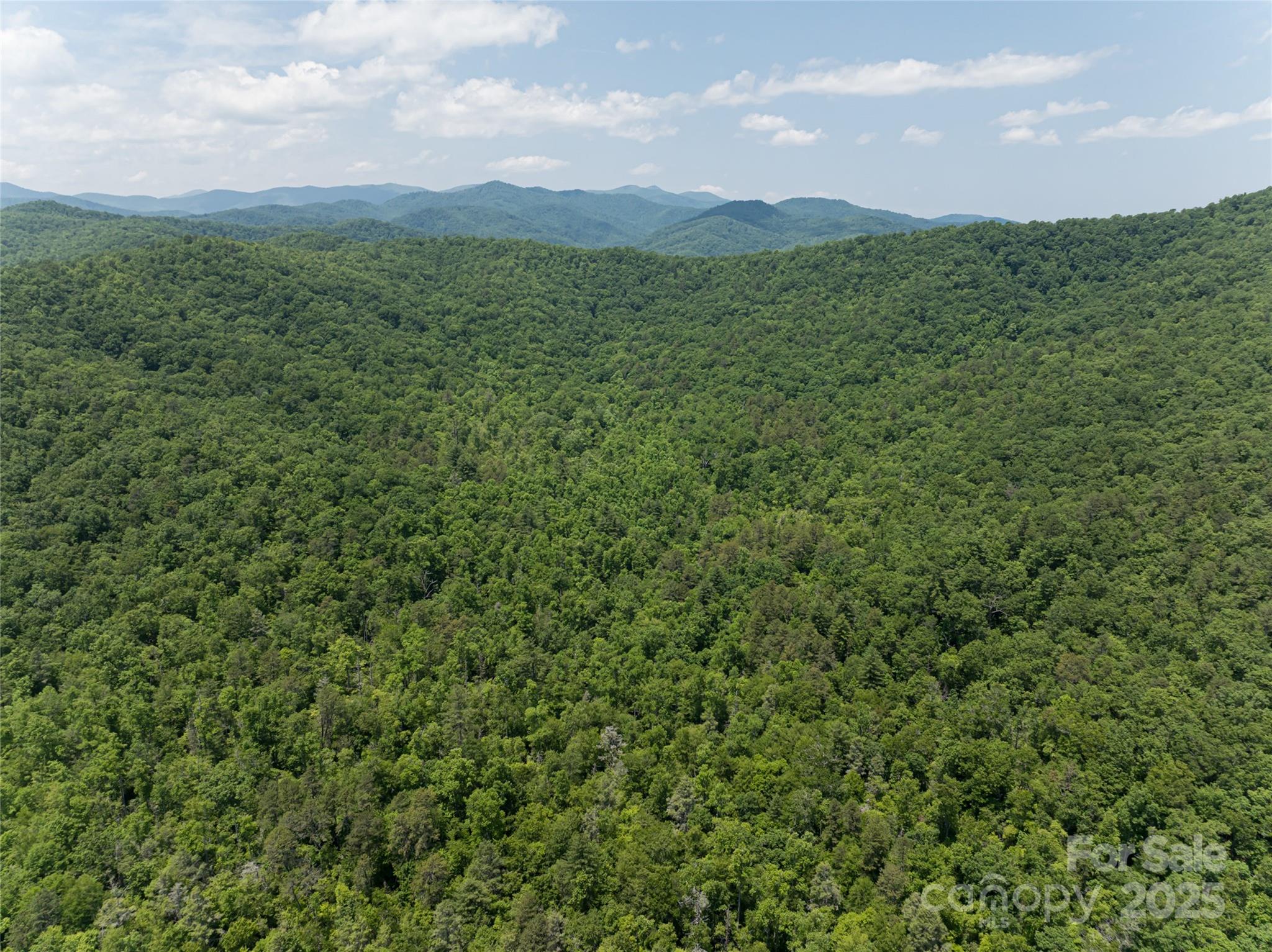 1000 Sutton Creek Road Pisgah Forest NC 28768