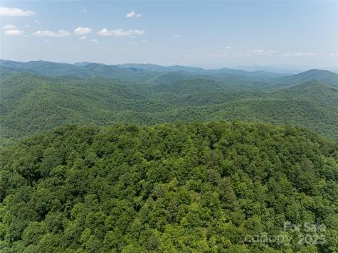 1000 Sutton Creek Road Pisgah Forest NC 28768