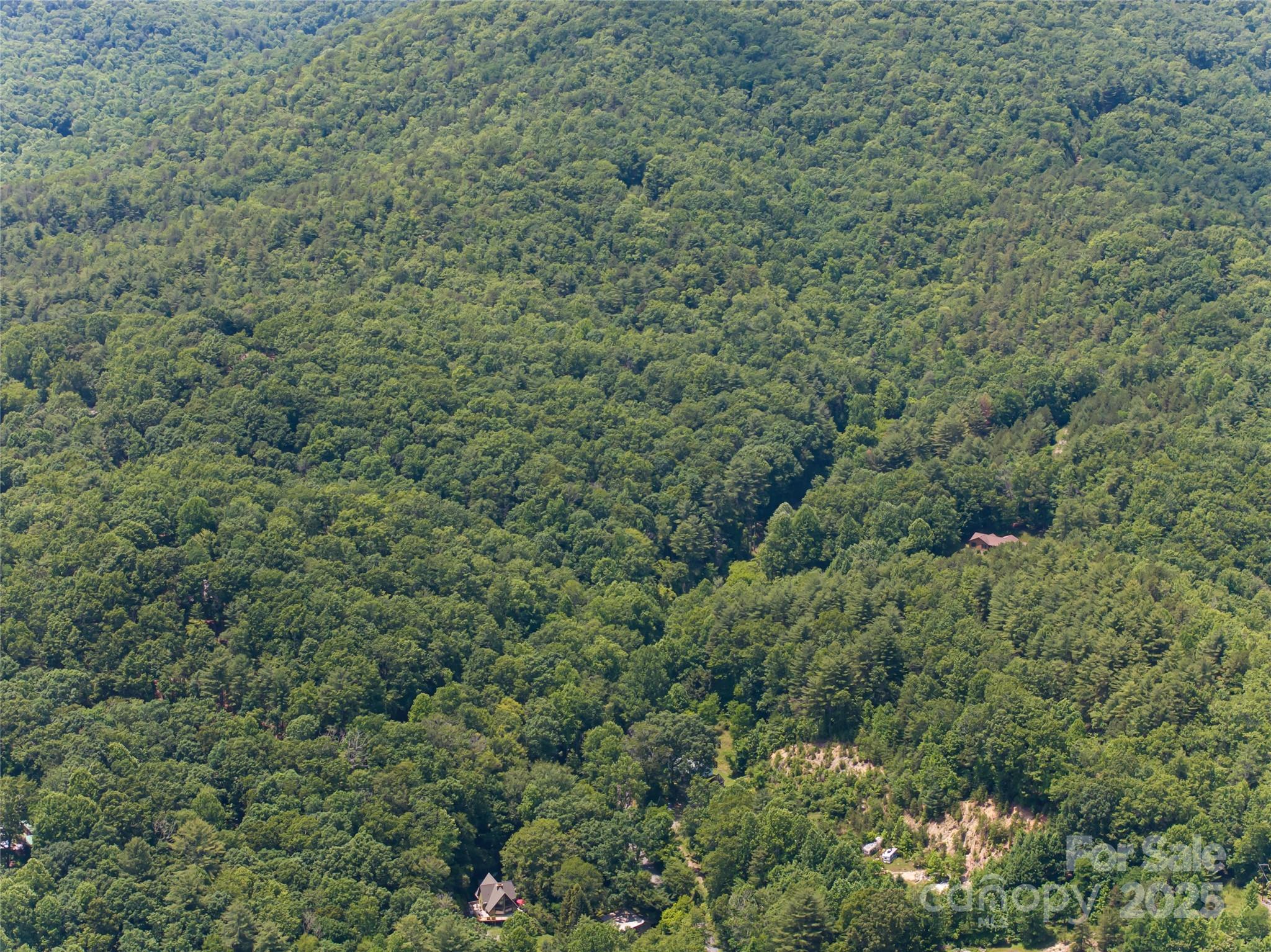 1000 Sutton Creek Road Pisgah Forest NC 28768