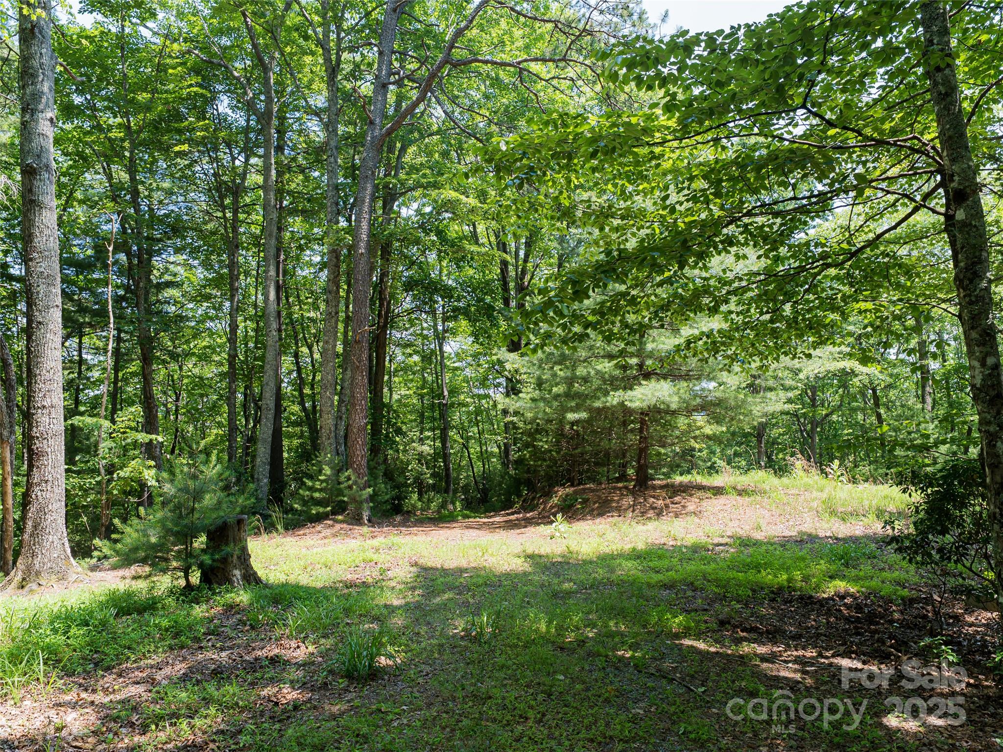 1000 Sutton Creek Road Pisgah Forest NC 28768