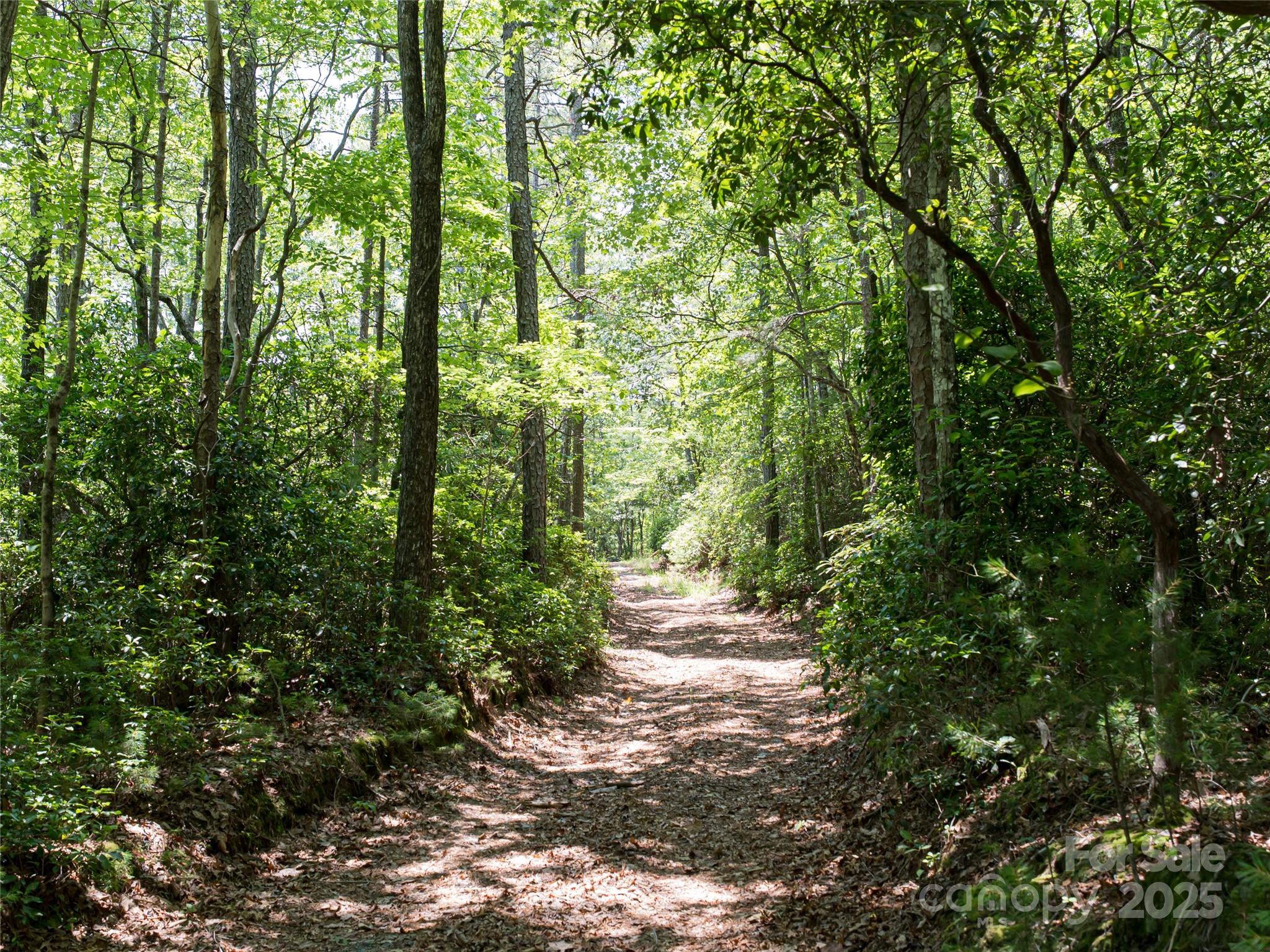 1000 Sutton Creek Road Pisgah Forest NC 28768