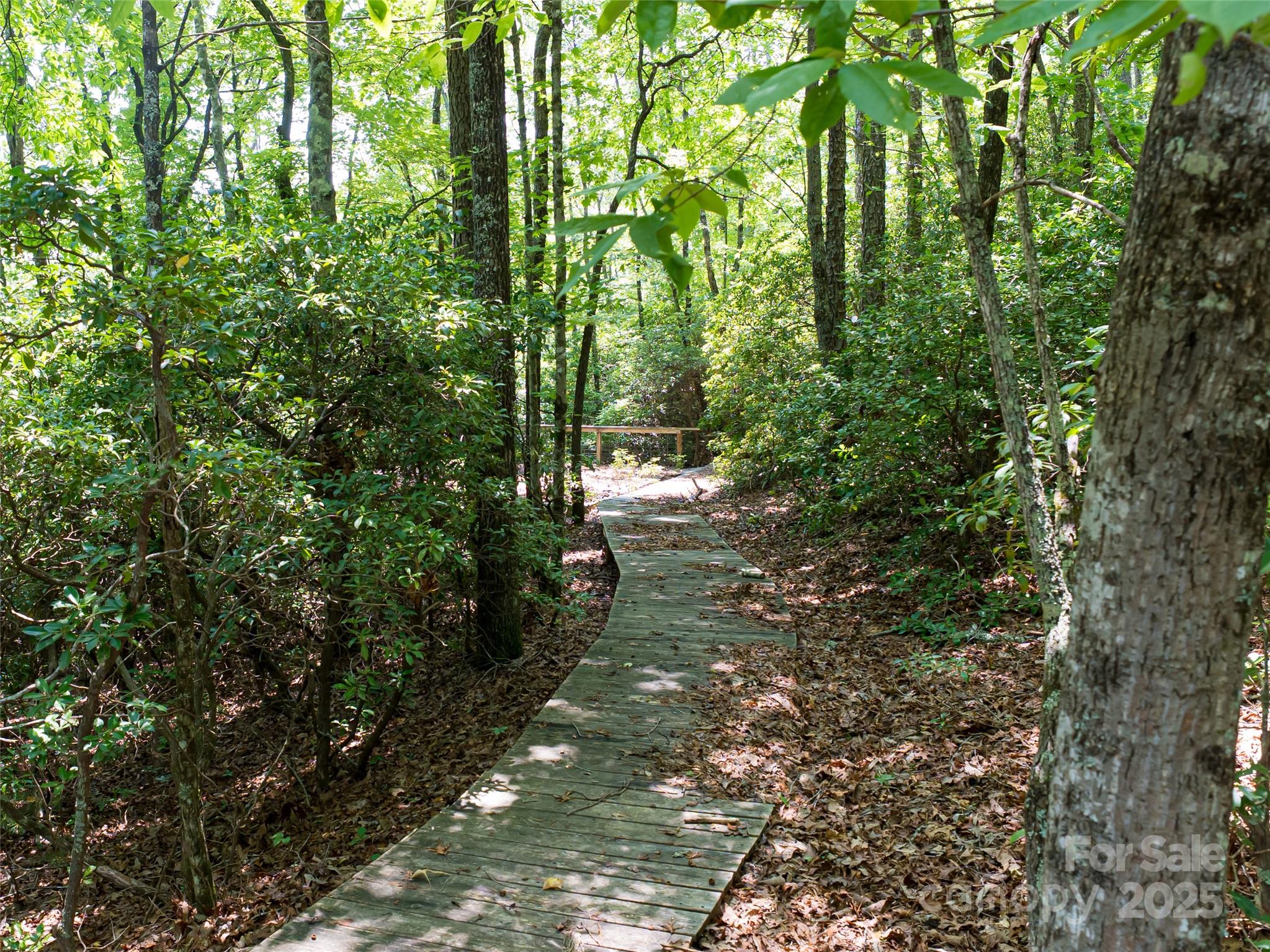 1000 Sutton Creek Road Pisgah Forest NC 28768