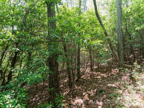 1000 Sutton Creek Road Pisgah Forest NC 28768