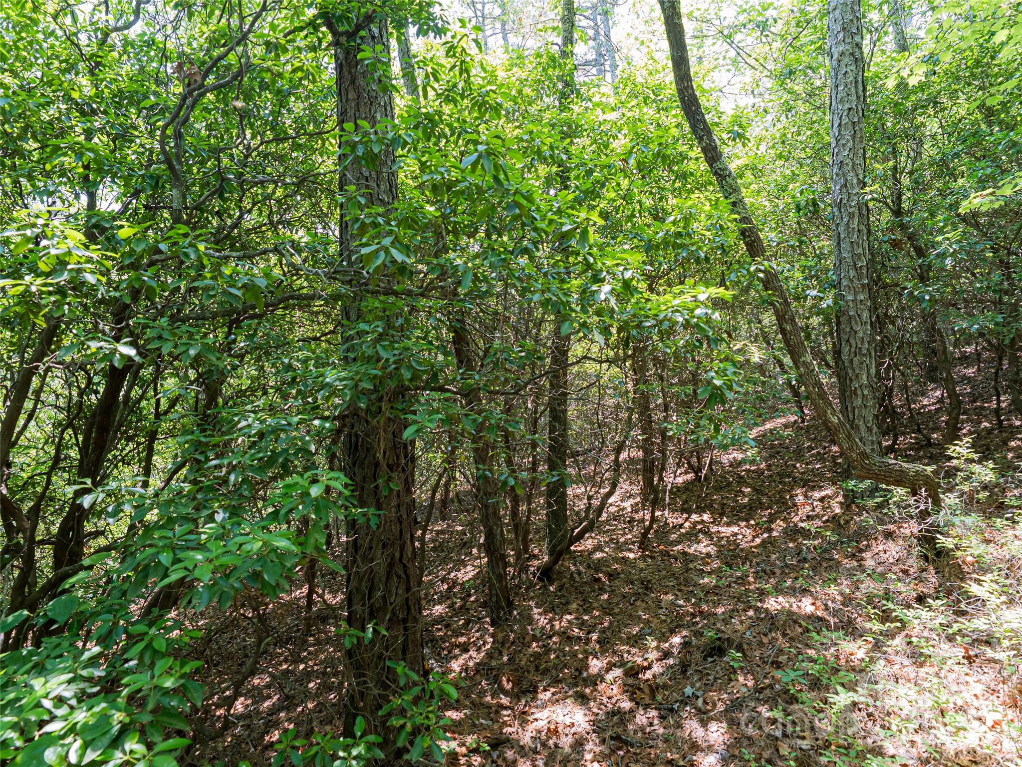 1000 Sutton Creek Road Pisgah Forest NC 28768