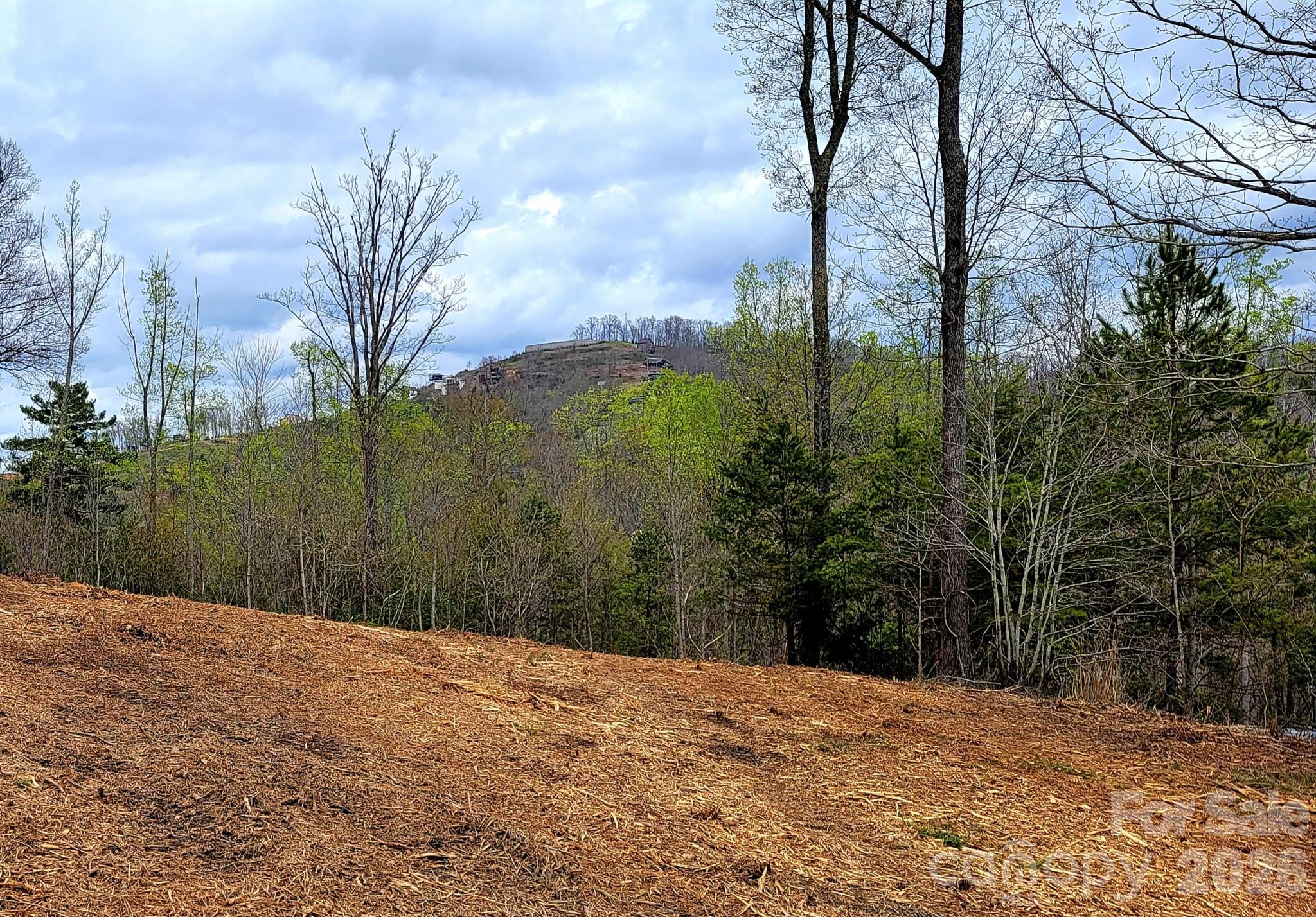 8 English Hills Drive Asheville NC 28804